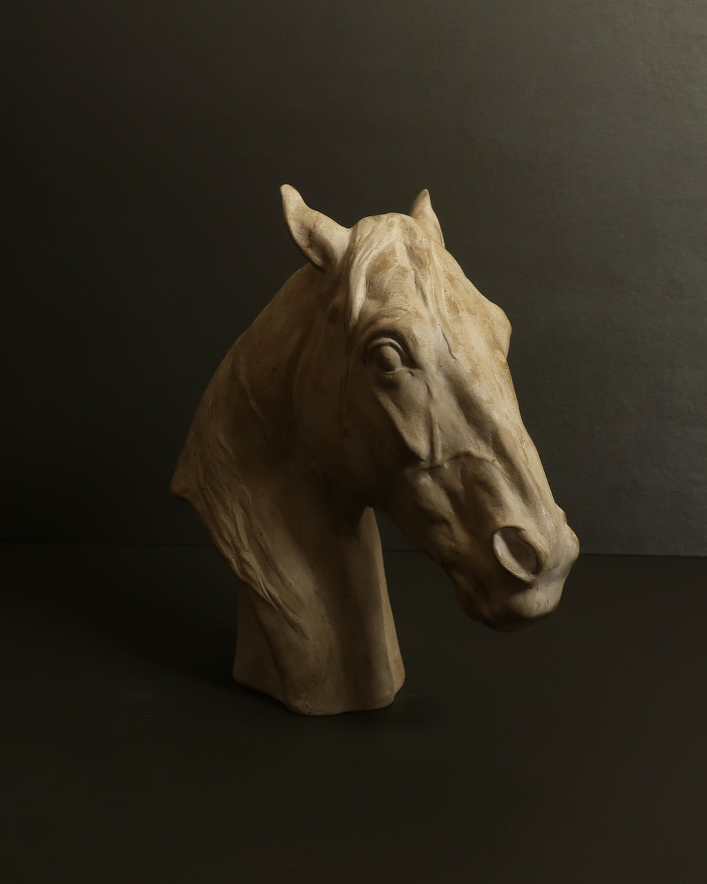 Testa di cavallo