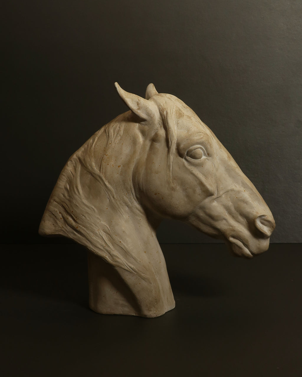 Testa di cavallo