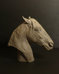 Testa di cavallo