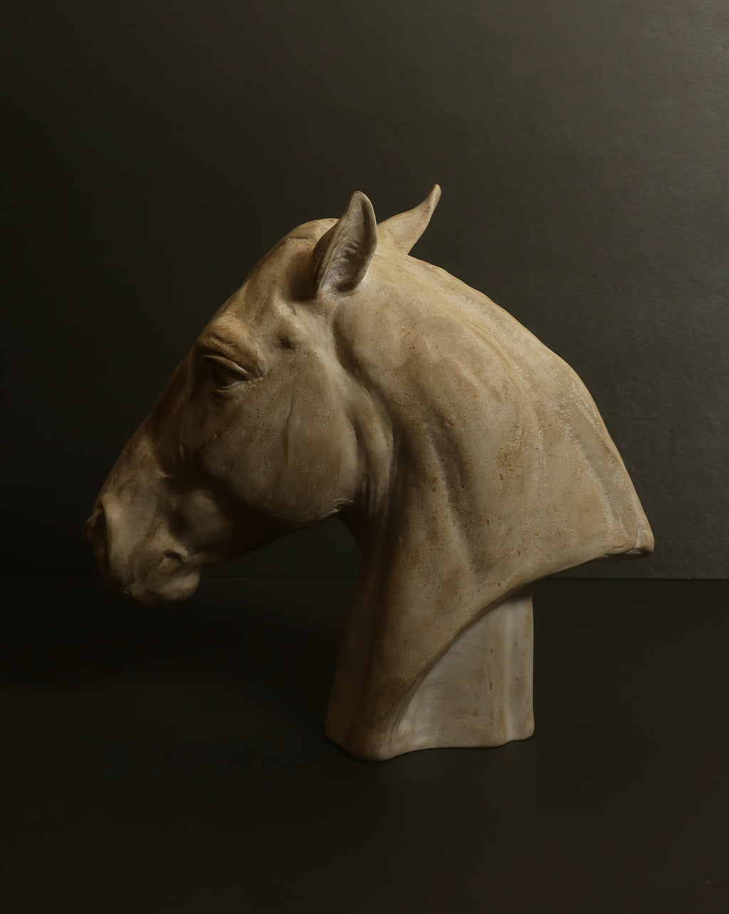 Testa di cavallo