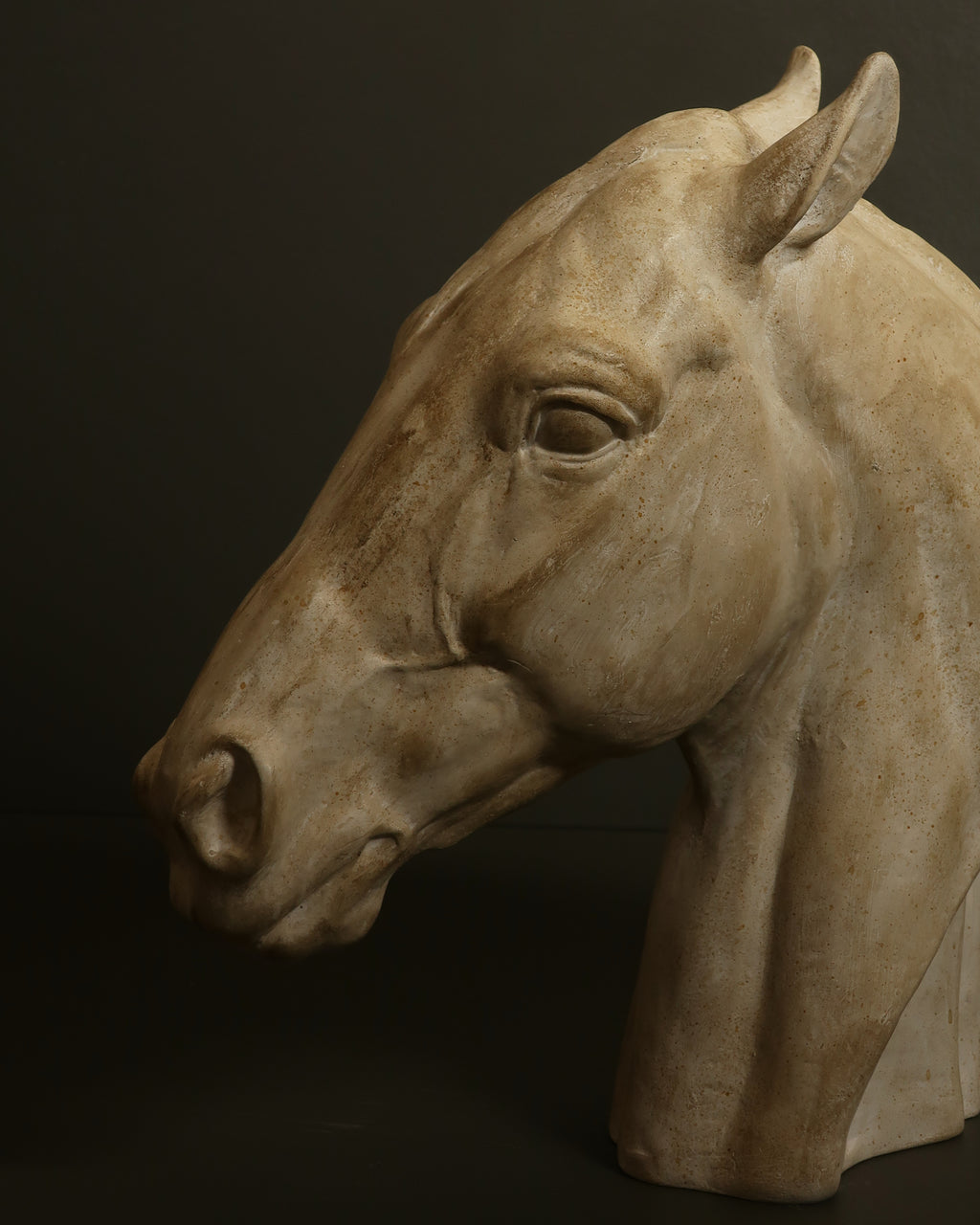 Testa di cavallo
