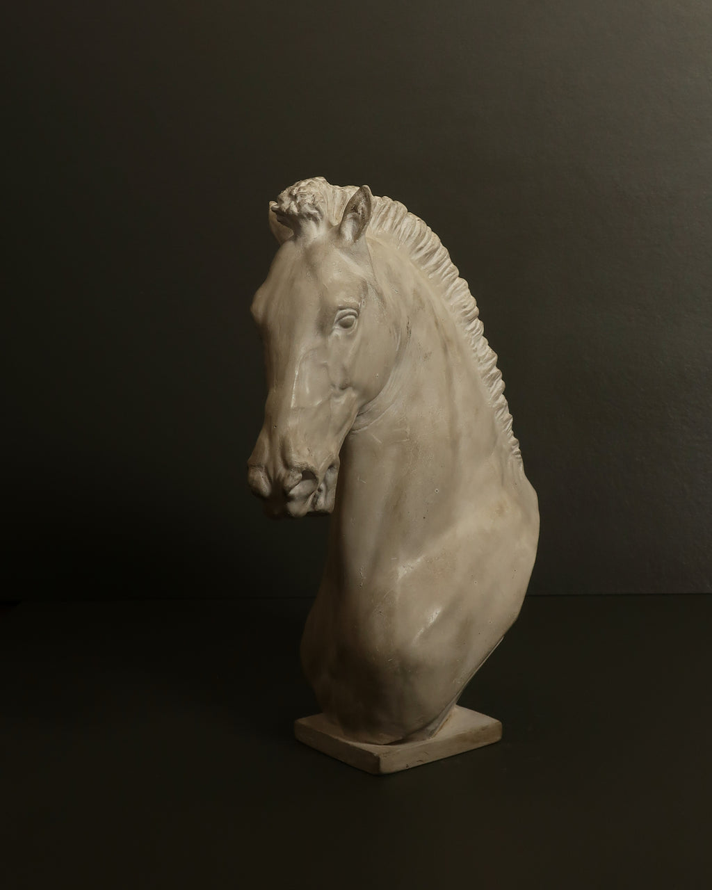 Protome equina