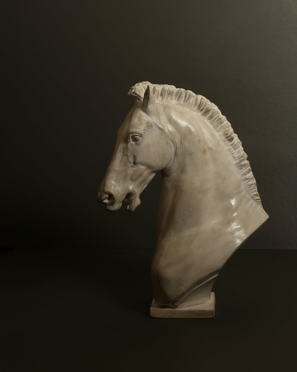 Protome equina
