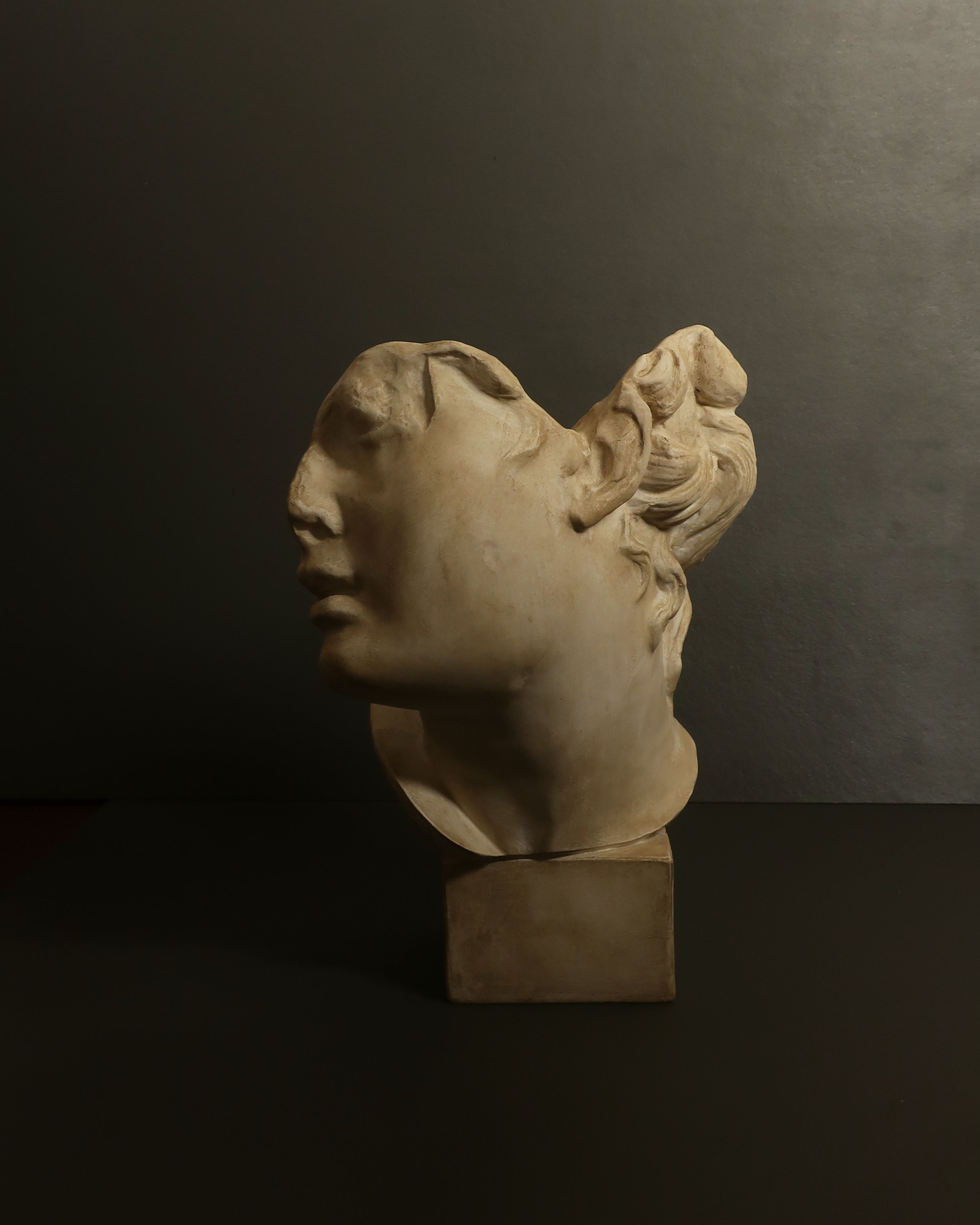 Testa femminile classica