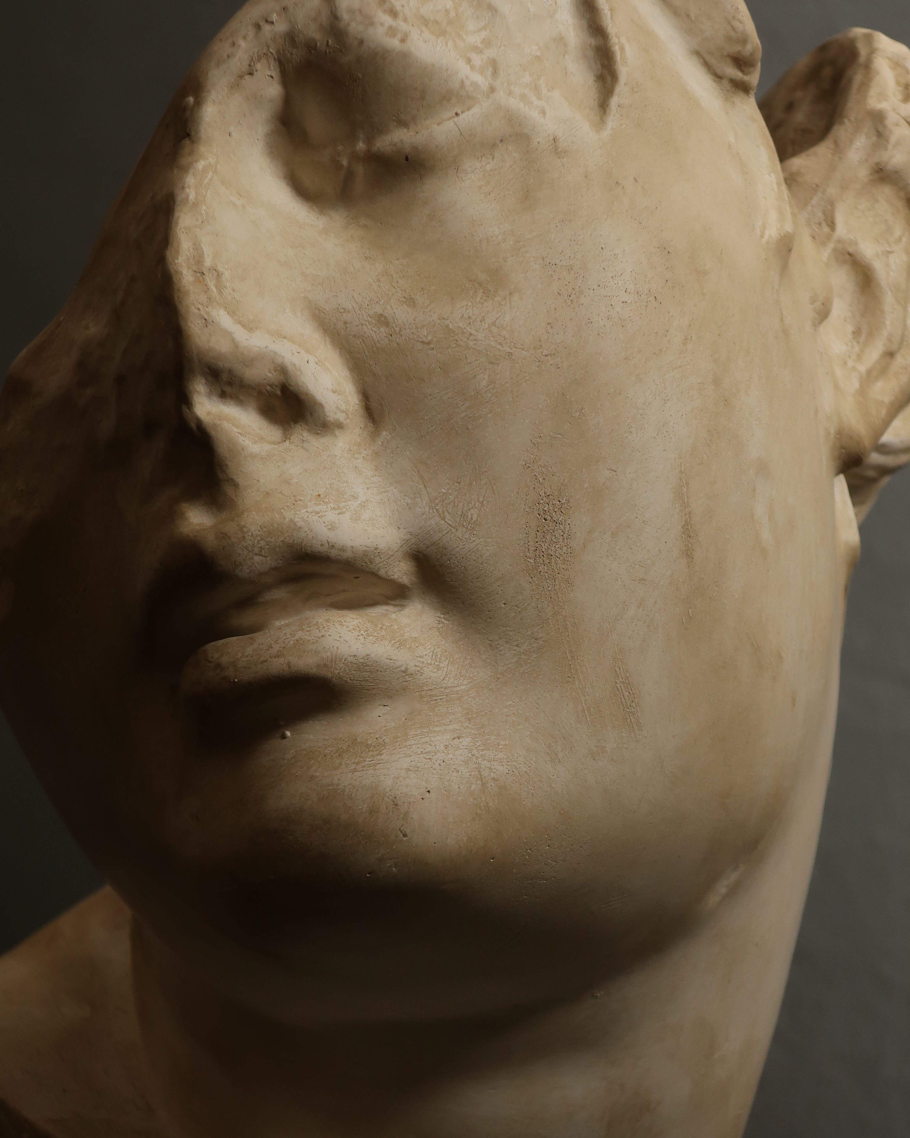 Testa femminile classica