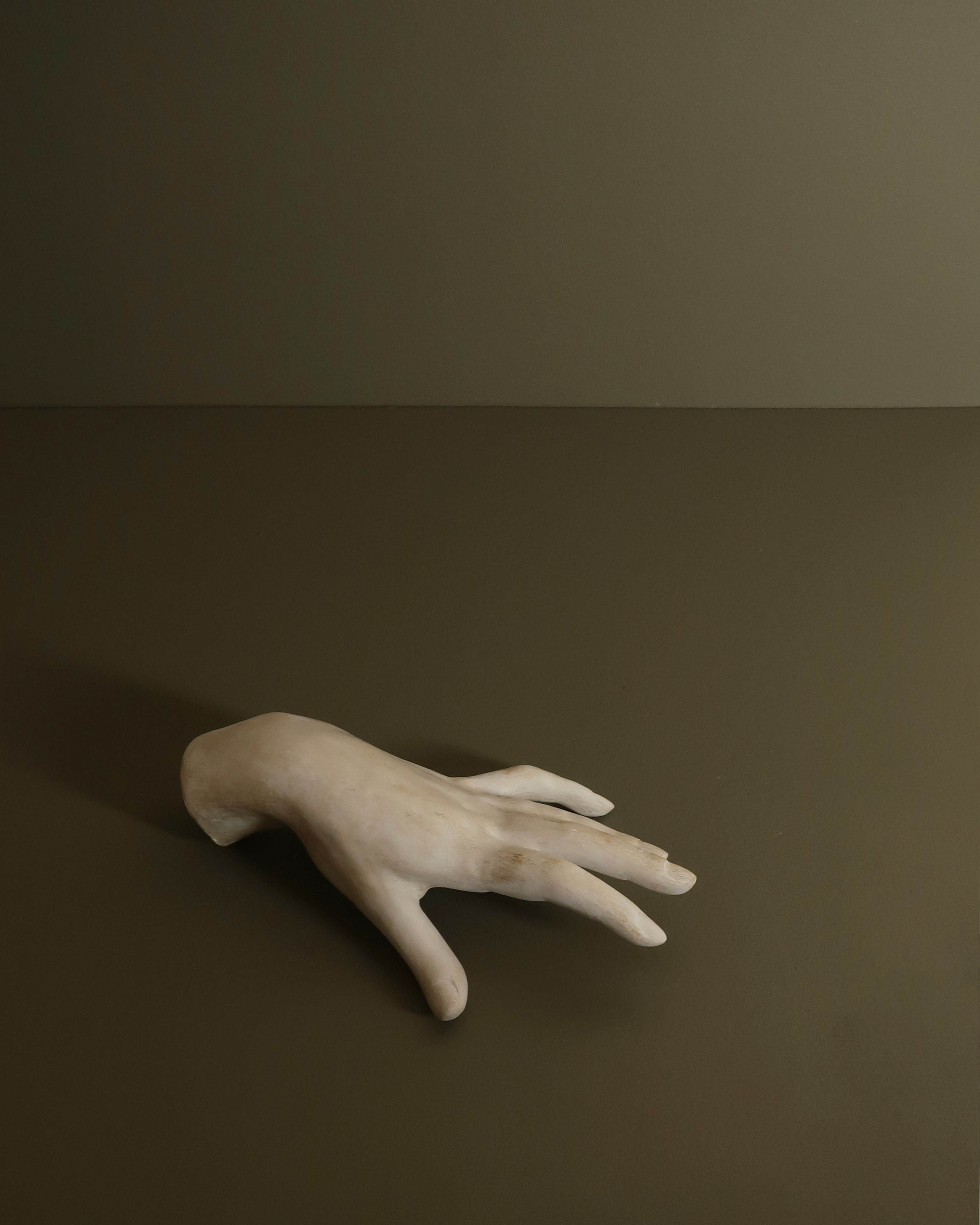 Coppia di mani