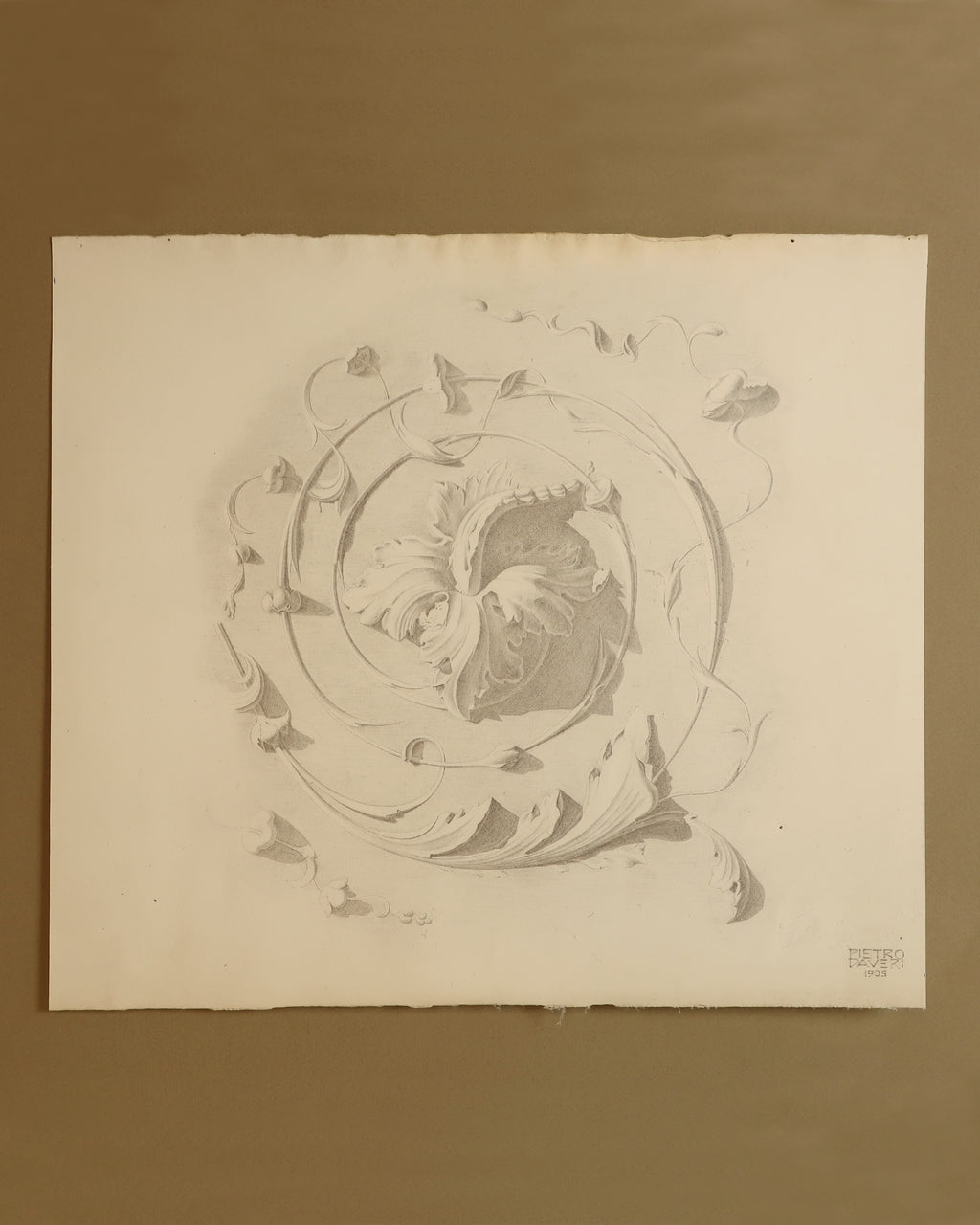 Voluta con rosetta