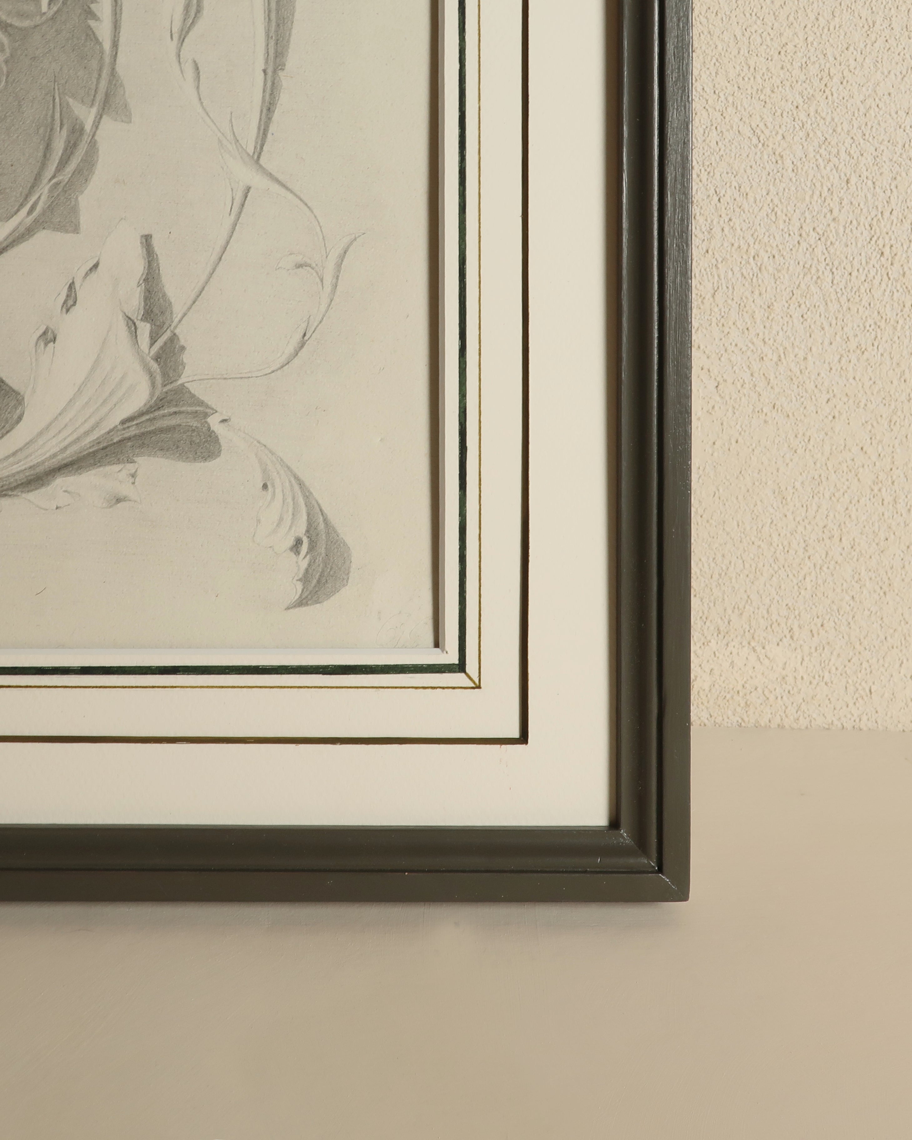 Voluta con rosetta