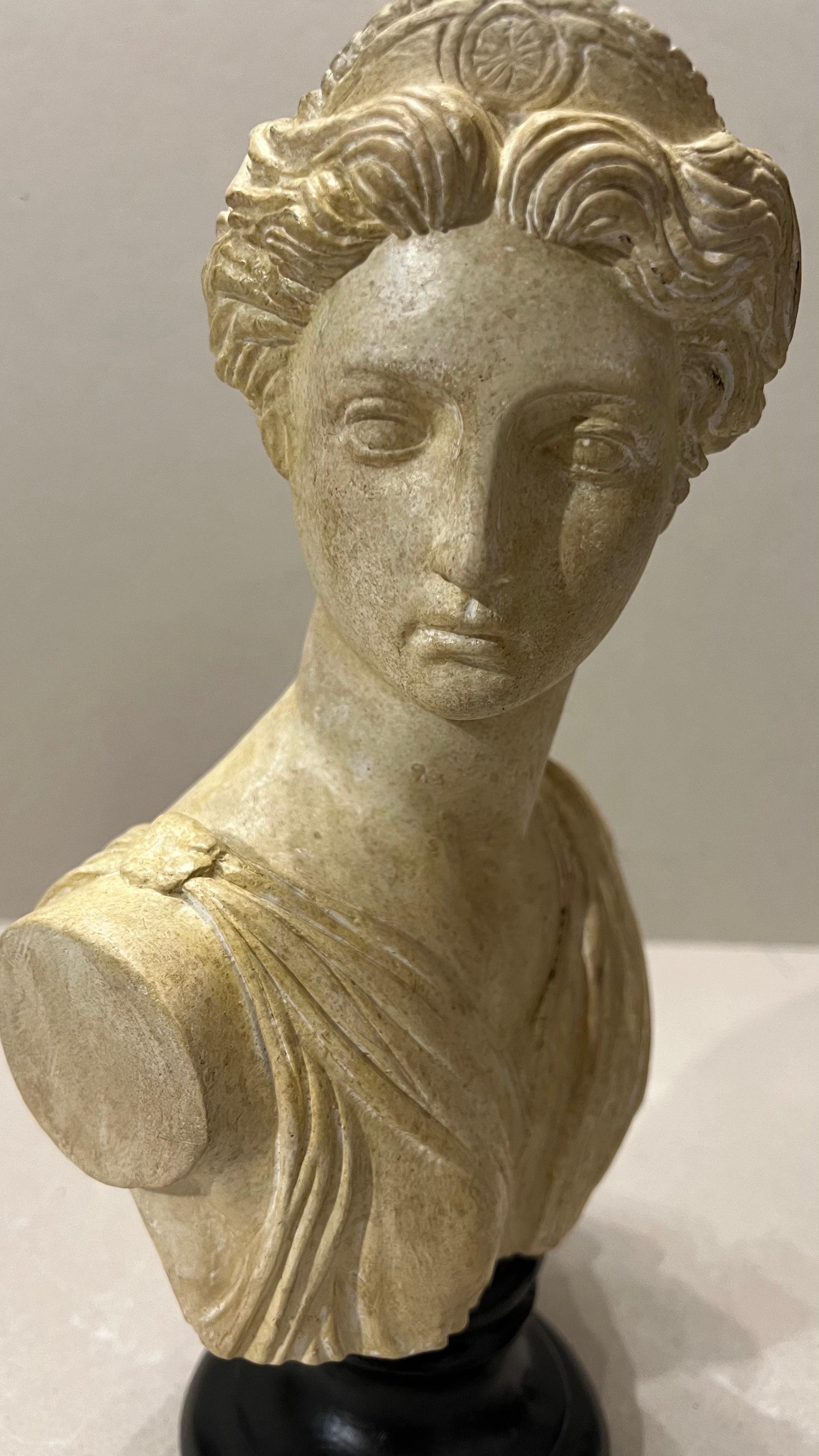Minerva - Busto in gesso