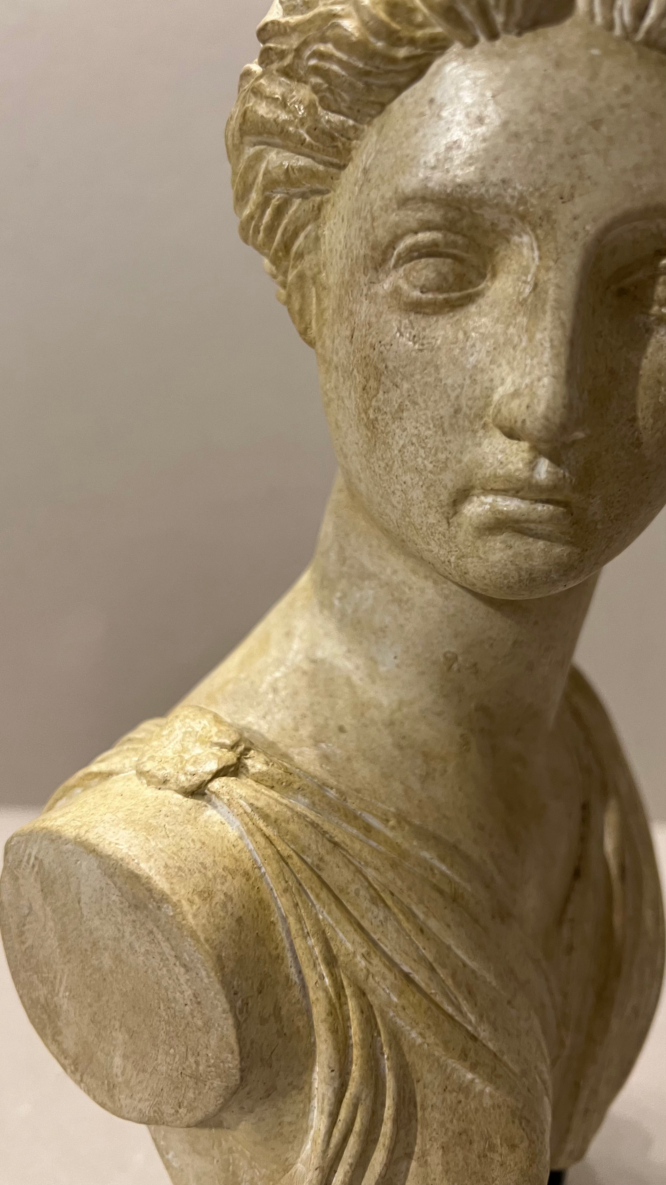 Minerva - Busto in gesso